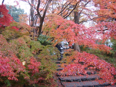 京都亀岡　出雲大神宮